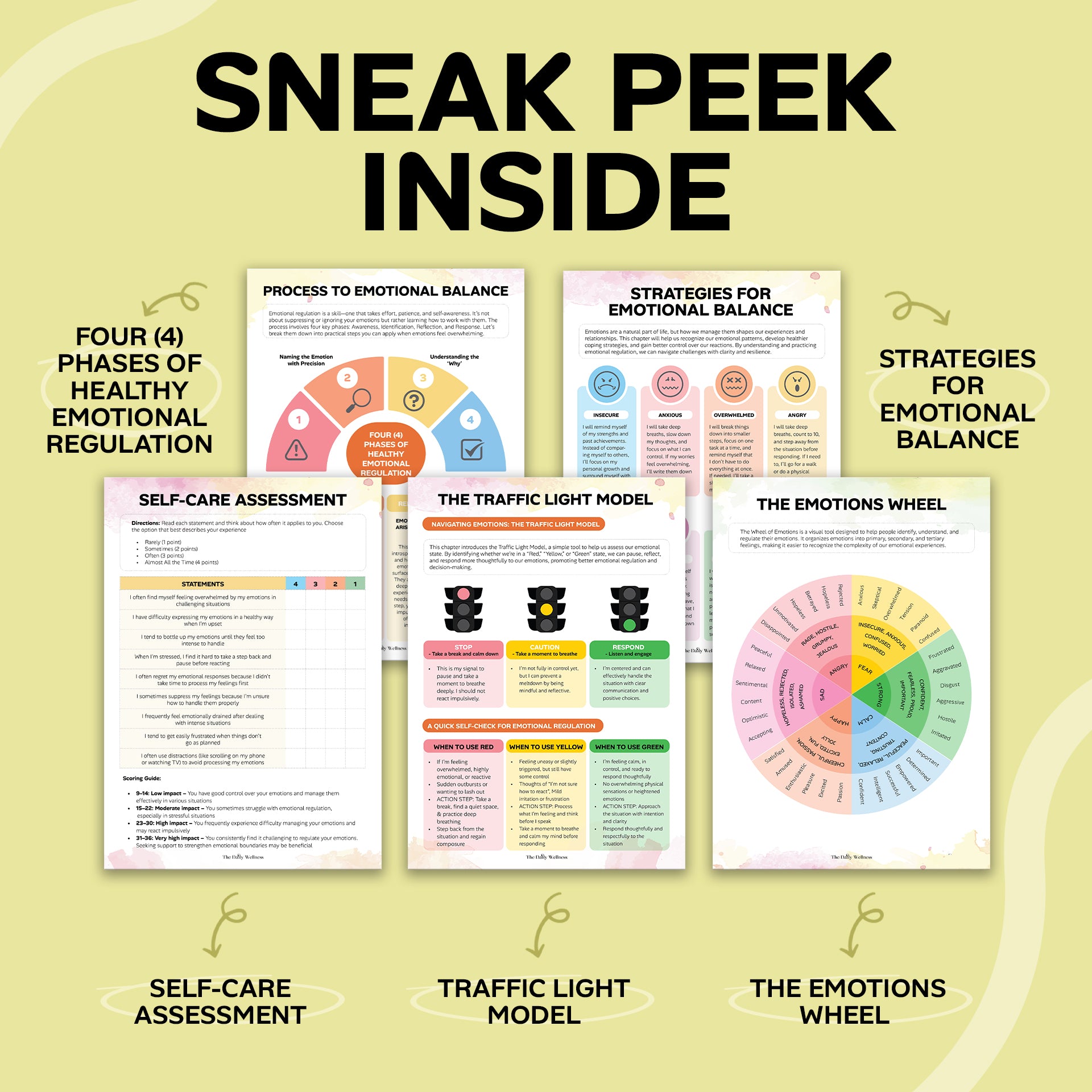 Emotional Regulation Mastery Workbook